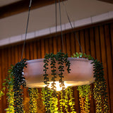 Elba Planter Pendant Light Medium By New Garden Detailed View
