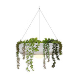 Elba Planter Pendant Light Small By New Garden