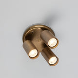Evanston Ceiling Light Dark Antique Brass
