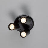 Evanston Ceiling Light - Matte Black