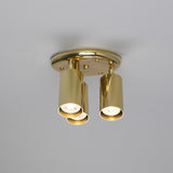 Evanston Ceiling Light - Polished Brass