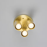 Evanston Ceiling Light - Satin Brass