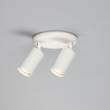 Evanston Ceiling Light - White