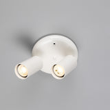 Evanston Ceiling Light - White