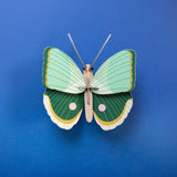 Fern Striped Butterfly Wall Art, styled in an interior