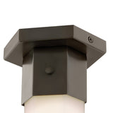 Facet Small Flush Mount - Black Oxide - by Hinkley