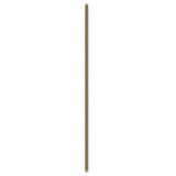 Fan Downrod Fan Downrod — 60 Inch, Brushed Gold
