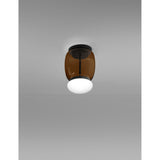 Faro Ceiling Light