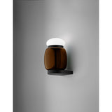 Faro Wall Light