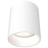 Focus 6” Multi Voltage Cylinder Flush Mount with Multi-Lenses White By DALS 1