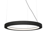 Frame Ring Pendant Light
