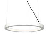 Frame Ring Pendant Light