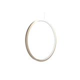 Frame Vertical Circle Pendant