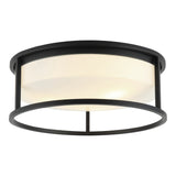 Framerton Ceiling Mount 15 Inch Matte Black