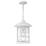 Freeport Medium Hanging Lantern - Classic White - by Hinkley
