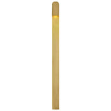 Froler Outdoor Wall Sconce Large Hand Rubbed Antique Brass By Visual Comfort Main View 3