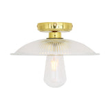 Gal Ceiling Light