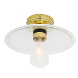 Gal Ceiling Light