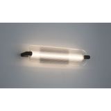Neoness Outdoor Wall Sconce by Eurofase