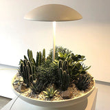 Garden II Table Lamp By Geo Contemporary, Color: White