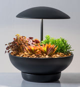 Garden I Table Lamp