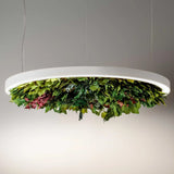 Gavin Silence Leaf Acoustic Suspension By OLEV Lifestyle View1