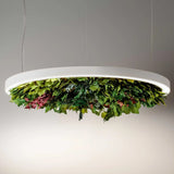 Gavin Silence Leaf Acoustic Suspension By OLEV Lifestyle View1
