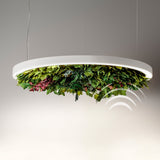 Gavin Silence Leaf Acoustic Suspension By OLEV