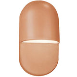 Gloss Blush Ceramic Mini Outdoor Capsule Wall Sconce by Justice Design