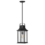 Grant Medium Hanging Lantern - Textured Black - by Hinkley