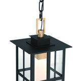 Greyson LED Outdoor Pendant Light By Eurofase Detailed View
