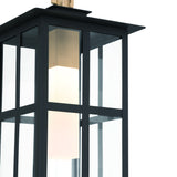 Greyson LED Outdoor Pendant Light By Eurofase Detailed View With Light