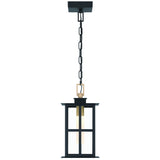 Greyson LED Outdoor Pendant Light By Eurofase