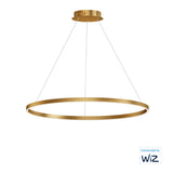 Groove WiZ Groove LED Pendant WiZ by ET2 - 39.5 Inch Gold