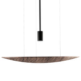Harmonia Pendant Medium American Walnut By Accord