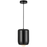 Hayden Pendant Light Glossy Black By Kuzco