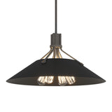 Henry Pendant in Natural Iron, Black by Hubbardton Forge
