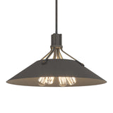 Henry Pendant in Natural Iron, Natural Iron by Hubbardton Forge