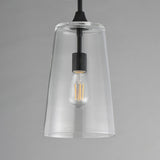 Hudson Pendant Black by Maxim Lighting