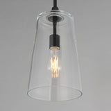 Hudson Pendant Black by Maxim Lighting