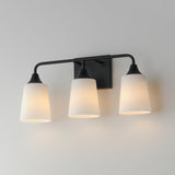 Hudson Vanity Light Black by Maxim Lighting