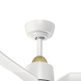 Hugo Ceiling Fan