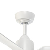 Hugo Ceiling Fan