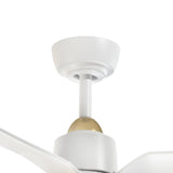 Hugo Ceiling Fan