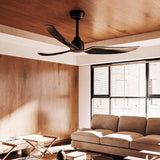 Hugo Ceiling Fan