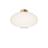 Illusion Flush Mount