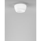 Implode PL 50 Ceiling Light