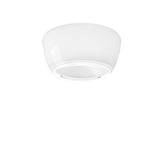 Implode PL 50 Ceiling Light