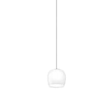 Implode SP 16 Pendant Light