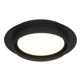 Iris Ceiling Mount 12 Inch Matte Black